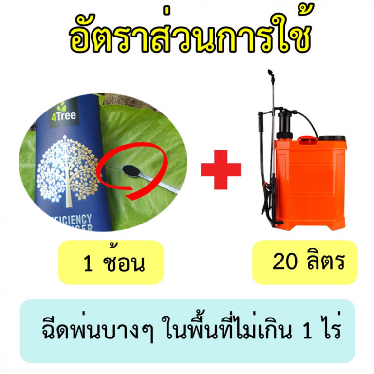 รุป2